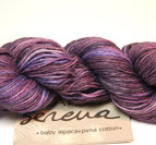 Buddleia